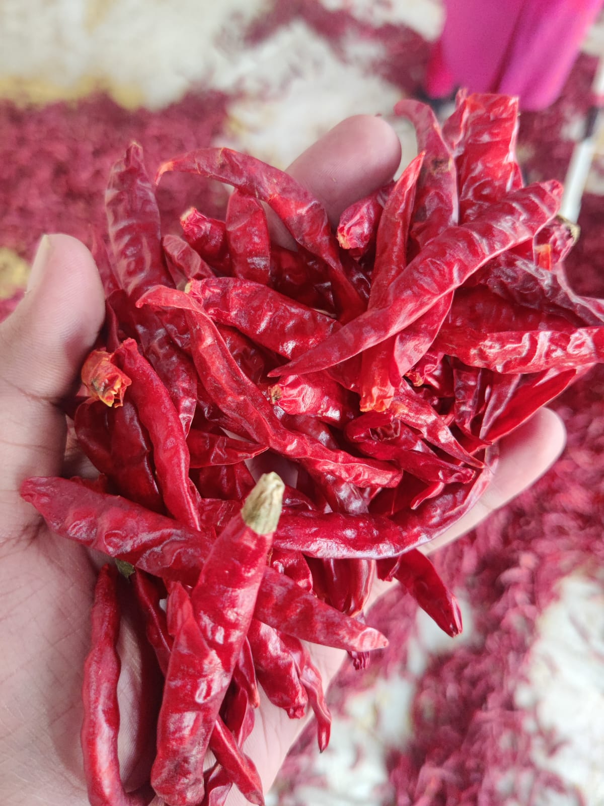 Dry Chilies